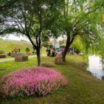 Ce este ”Urban foraging”, proiectul pilot care aduce natura la colțul blocului