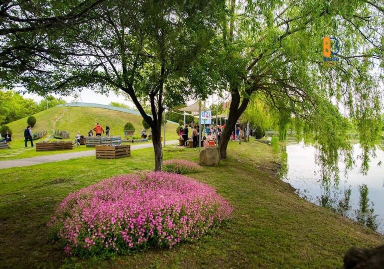 Ce este ''Urban foraging'', proiectul pilot care aduce natura la colțul blocului