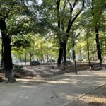Semnal de alarmă: urmează bâlciuri cu acces pe bani, în parcul istoric Kiseleff ? De ce e o problemă și ce spune George Tuță