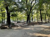 Semnal de alarmă: urmează bâlciuri cu acces pe bani, în parcul istoric Kiseleff? De ce e o problemă și ce spune George Tuță