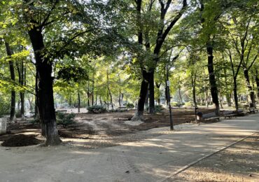 Semnal de alarmă: urmează bâlciuri cu acces pe bani, în parcul istoric Kiseleff ? De ce e o problemă și ce spune George Tuță