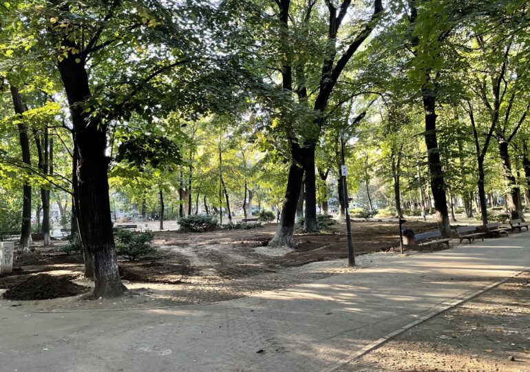 Semnal de alarmă: urmează bâlciuri cu acces pe bani, în parcul istoric Kiseleff ? De ce e o problemă și ce spune George Tuță