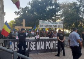 Protest al silvicultorilor la Ministerul Mediului. Diana Buzoianu n-a fost lăsată la microfon. Acuză manipularea pădurarilor de "directorași și șefuți" (Video)