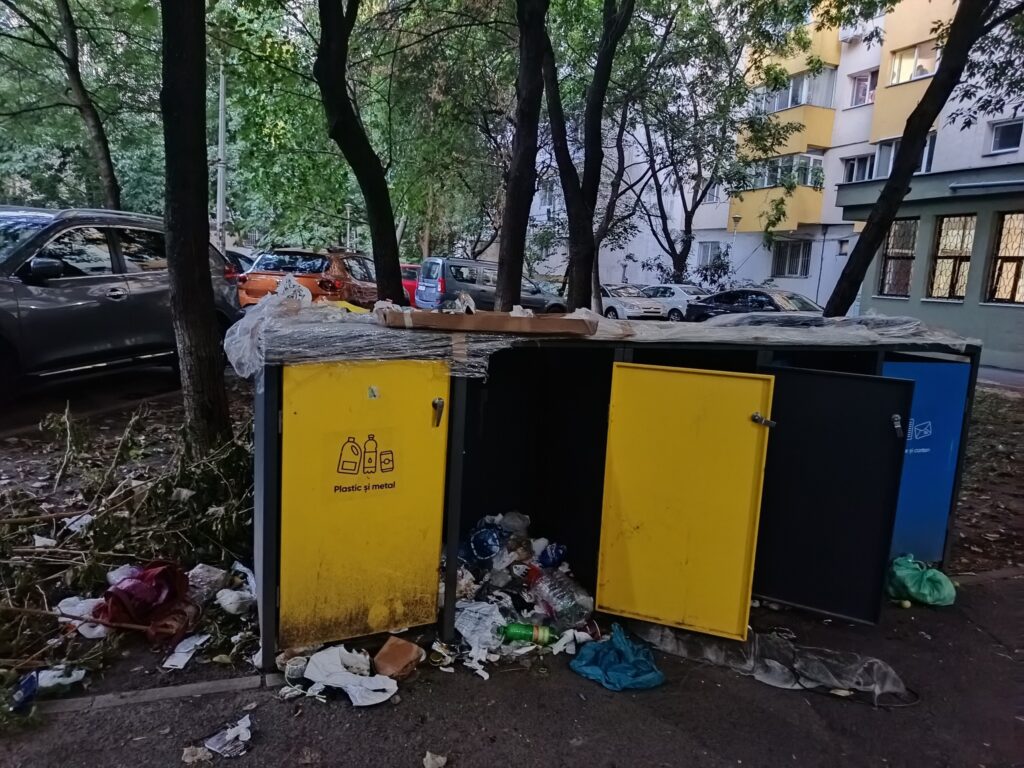 pubelă vandalizata
