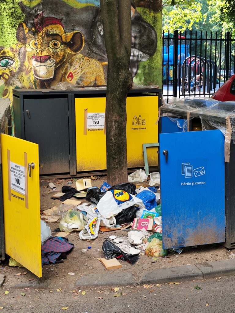 pubela vandalizata 2
