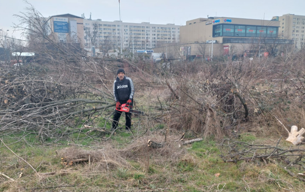 USR propune amendă de 60 de ori mai mare pentru tăierea unui copac în București. Până acum, Ciucu nu voia. Scandal la conferința din IOR (Video)