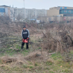 USR propune amendă de 60 de ori mai mare pentru tăierea unui copac în București. Până acum, Ciucu nu voia. Scandal la conferința din IOR (Video)