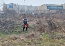 USR propune amendă de 60 de ori mai mare pentru tăierea unui copac în București. Până acum, Ciucu nu voia. Scandal la conferința din IOR (Video)