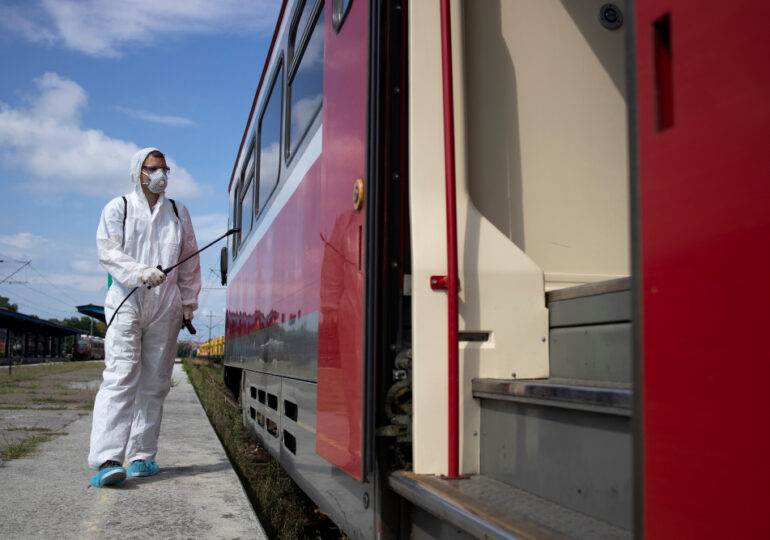 Servicii DDD Iași: cum scapi rapid de șoareci, gândaci și alți dăunători