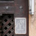 Ia-ți un câine sau măcar un semn „Atenție! Câine rău”: 14 sfaturi de la experți pentru a-ți proteja locuința