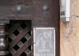Ia-ți un câine sau măcar un semn „Atenție! Câine rău”: 14 sfaturi de la experți pentru a-ți proteja locuința
