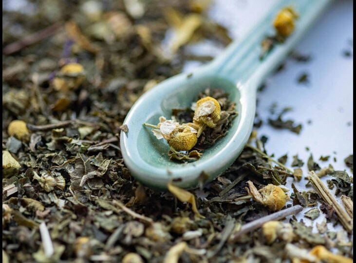 Ceaiul Rooibos, subiectul unui studiu. Ce au descoperit oamenii de știință