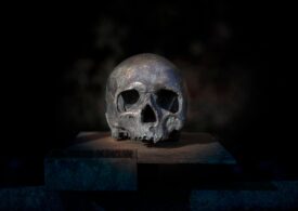 Un craniu vechi de un milion de ani rescrie istoria evoluției umane