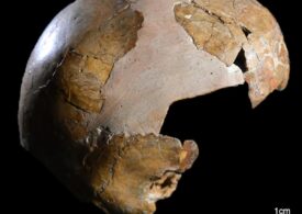 Primul hibrid uman din lume pare să rescrie istoria. Ce particularități avea copilul parte neanderthalian, parte Homo sapiens