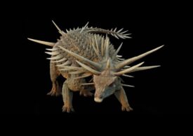 A fost descoperit dinozaurul cu cea mai țepoasă armură văzută vreodată