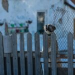 Au fost -6,4 °C azi noapte. Nici pentru următoarele zile veștile nu-s cu mult mai bune