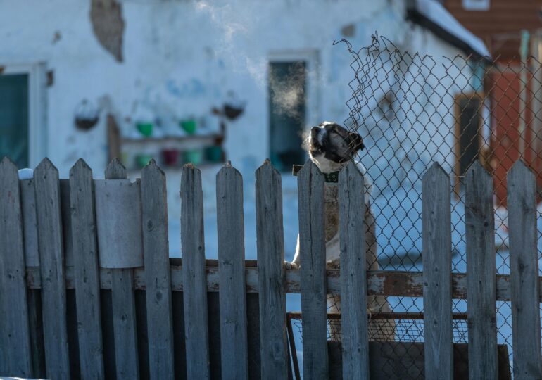 Au fost -6,4 °C azi noapte. Nici pentru următoarele zile veștile nu-s cu mult mai bune