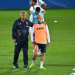 Mircea Lucescu Alexandru Mitrita
