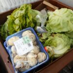 România aruncă 2,5 milioane de tone de mâncare pe an. UE cere reducerea risipei la jumătate până în 2030