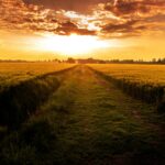 Început fierbinte de toamnă. Două zile sub cod galben de căldură extremă