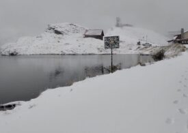E iarnă în toată regula în câteva zone din România. Iată unde te poți da deja cu sania (Video)