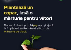 Aplicația prin care utilizatorii pot să planteze un copac