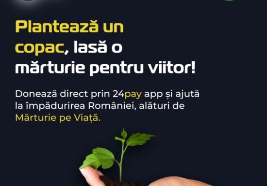 Aplicația prin care utilizatorii pot să planteze un copac
