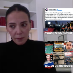 Andreea Gudin, consilier administrația prezidențială România