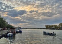 Fluviul nostru e în suferință: Lupta pentru salvarea Dunării a început