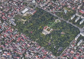 Ce pregătește Tuță pentru Parcul Bazilescu. Arhitecții vorbesc despre sute de arbori defrișați sau replantați. Dar promit mai mult spațiu verde, la final. Îngrijorările cetățenilor
