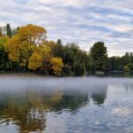 Negoiță vrea să cheltuiască 60 de milioane de euro ca să reamenajeze IOR și în alte 2 parcuri. Ce lucrări propune