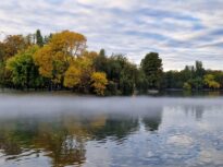 60 de milioane de euro pentru reamenajarea IOR și a altor 2 parcuri? UPDATE Decizia de ultim moment a lui Negoiță