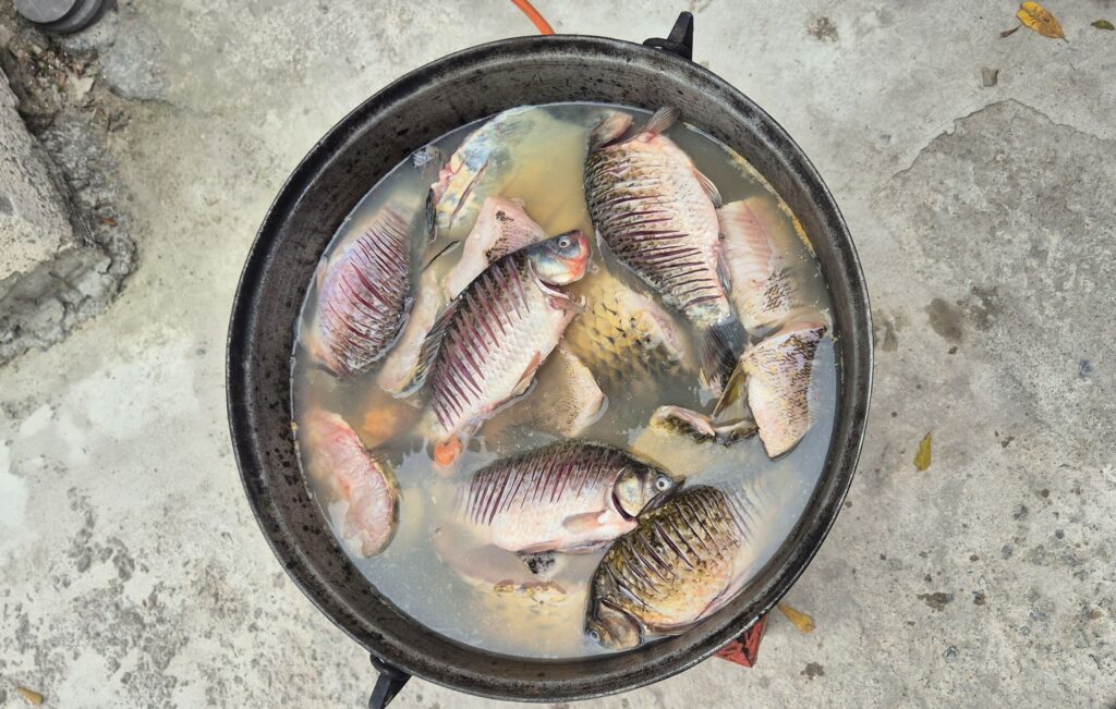 Paul Frangeti ciorba de peste Delta octombrie 2025