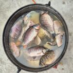 De ce este esențial să mâncăm pește de cel puțin două ori pe săptămână. Cea mai accesibilă sursă de Omega 3