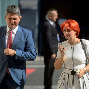 Titus Corlățean, Lia Olguța Vasilescu, PSD