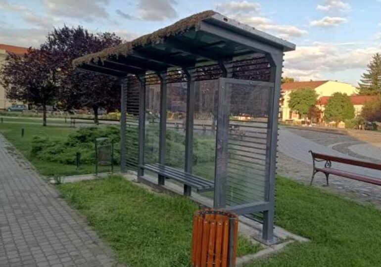 Suspiciuni de sabotaj la primul acoperiș verde al unei stații de autobuz din Arad. Ar fi fost otrăvit intenționat