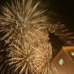 Fără artificii de Revelion în Brașov: Fiecare sfârșit de an este un adevărat coșmar pentru animale