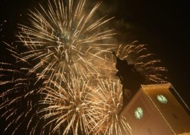 Fără artificii de Revelion în Brașov: Fiecare sfârșit de an este un adevărat coșmar pentru animale