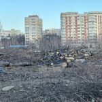 Peste 50 de organizații cer Consiliului General să mărească drastic amenzile pentru defrișările ilegale din București