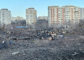 Peste 50 de organizații cer Consiliului General să mărească drastic amenzile pentru defrișările ilegale din București