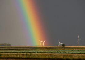 Energia regenerabilă depășește pentru prima dată cărbunele ca principală sursă de electricitate la nivel mondial