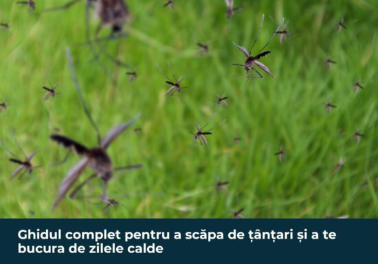 Ghidul complet pentru a scăpa de țânțari și a te bucura de zilele calde