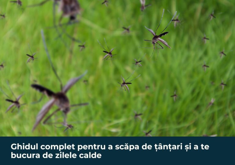 Ghidul complet pentru a scăpa de țânțari și a te bucura de zilele calde