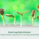 Rolul îngrășămintelor – Importanța cuprului în nutriția plantelor