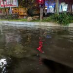 Furtuna a făcut prăpăd în București: 18 mașini avariate. Circulația STB afectată pe mai multe linii. Două zboruri, deviate de pe Otopeni