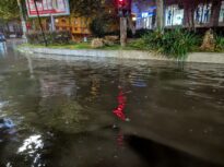 Vreme de coșmar cu frig, vânt și cod roșu de ploi