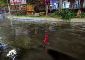 Furtuna a făcut prăpăd în București: 18 mașini avariate. Circulația STB afectată pe mai multe linii. Două zboruri, deviate de pe Otopeni