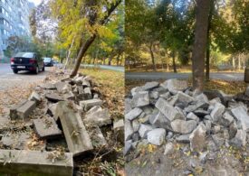 Garda de Mediu a amendat cu 50.000 de lei primăria lui Negoiță pentru lucrări neautorizate în Parcul IOR