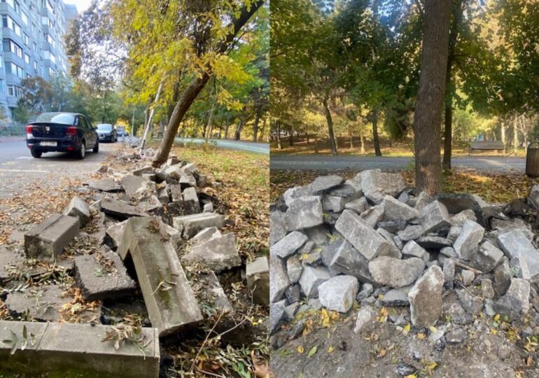 Garda de Mediu a amendat cu 50.000 de lei primăria lui Negoiță pentru lucrări neautorizate în Parcul IOR