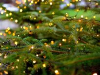 Primăriile intră în „febra luminițelor de Crăciun”: câți bani se duc pe brazi gigantici și ghirlande cu LED